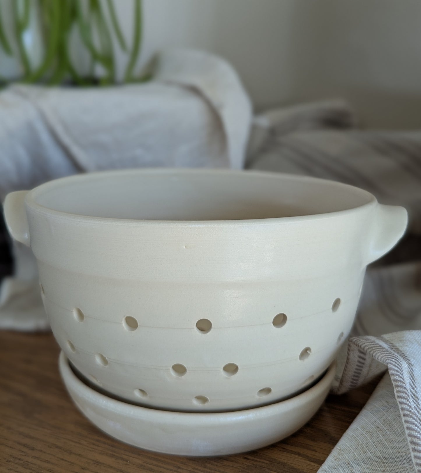 Berry Bowl - Translucent