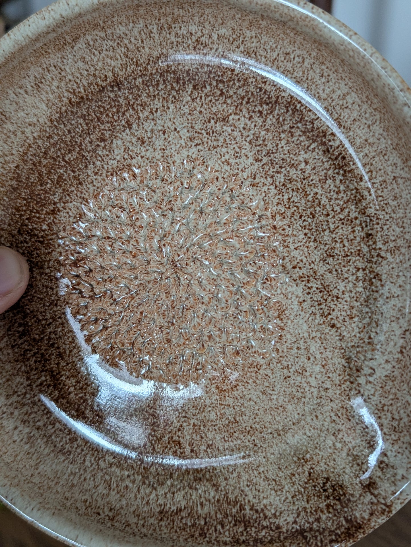 Garlic Scraper Plate