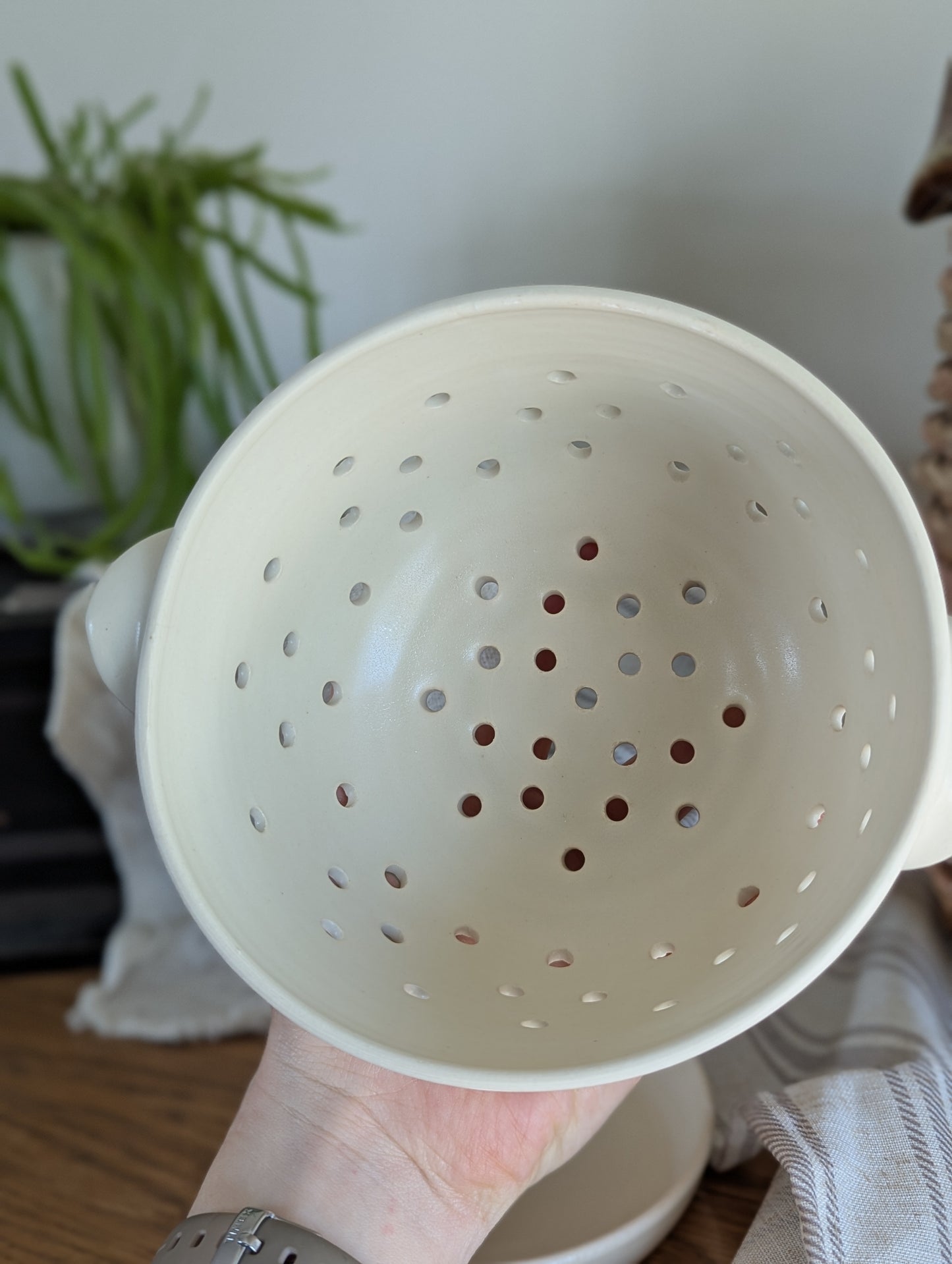 Berry Bowl - Translucent