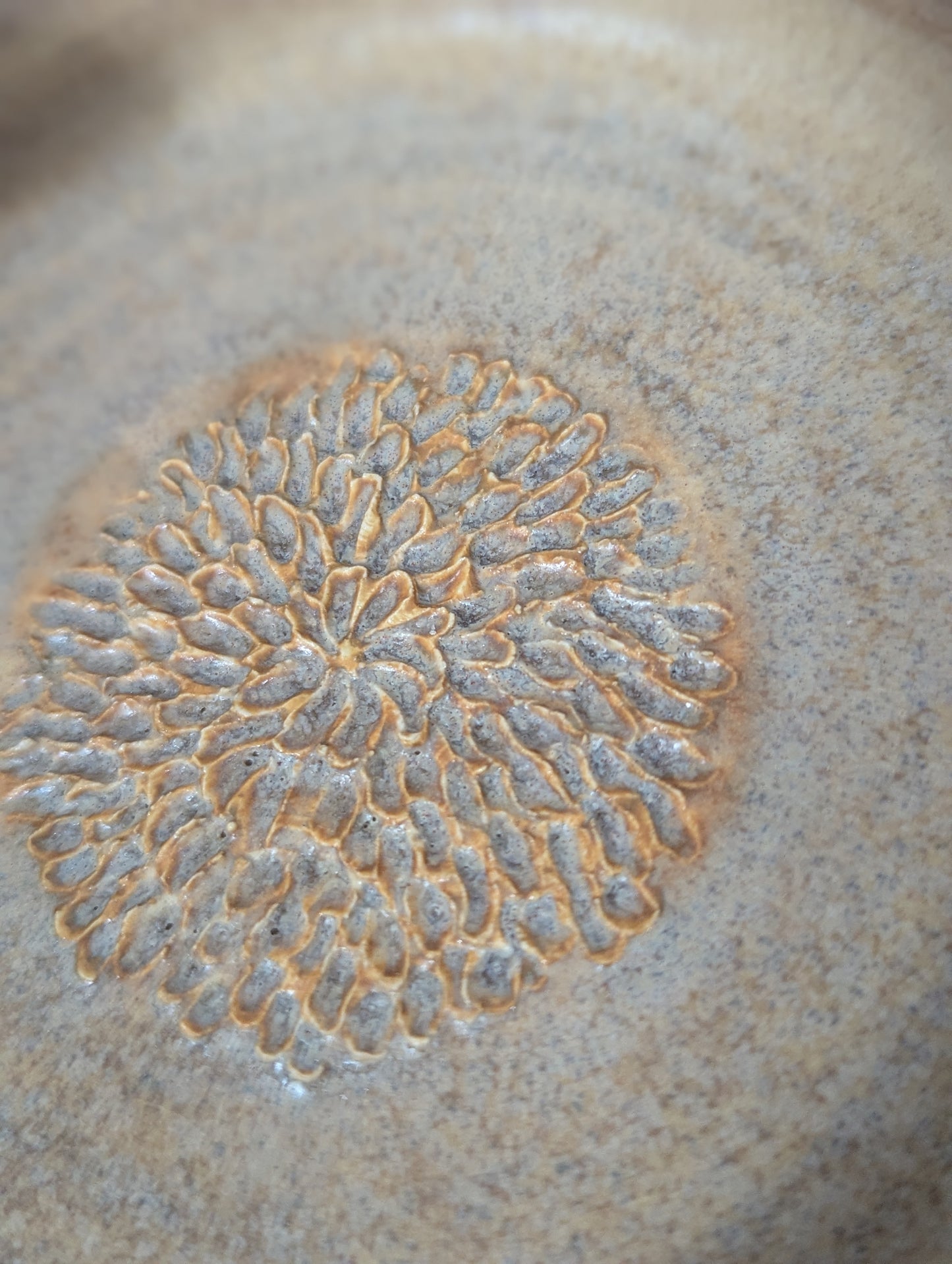 Garlic Scraper Plate